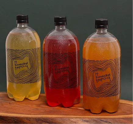 Pi Kombucha Tropical — Garrafa Pet (1L)