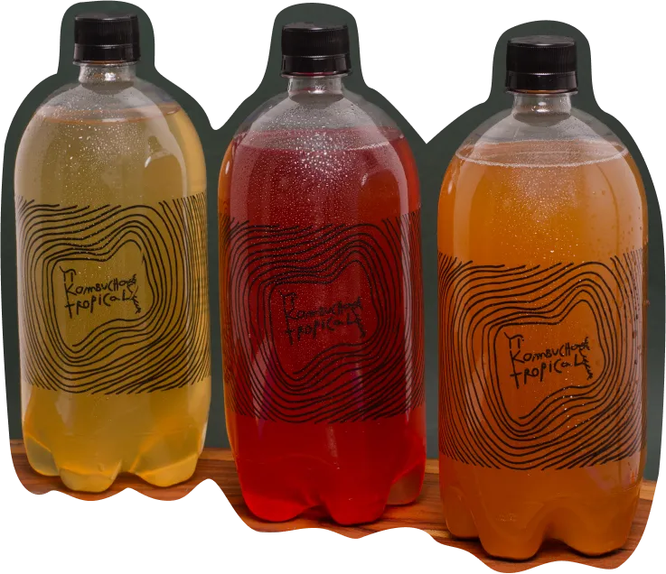 Trio de garrafas PET de 1 litro da Pi Kombucha Tropical